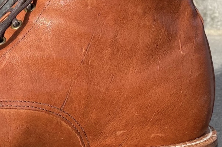 Scars on kangaroo leather
