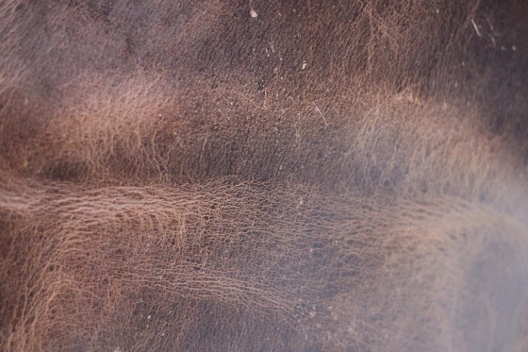 Can You Use Coconut Oil As a Leather Conditioner? Stridewise