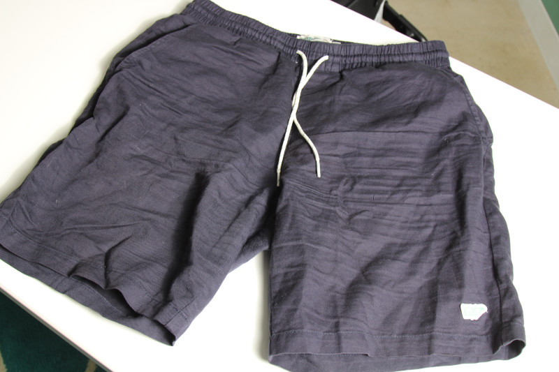 Wellen Blue Shorts