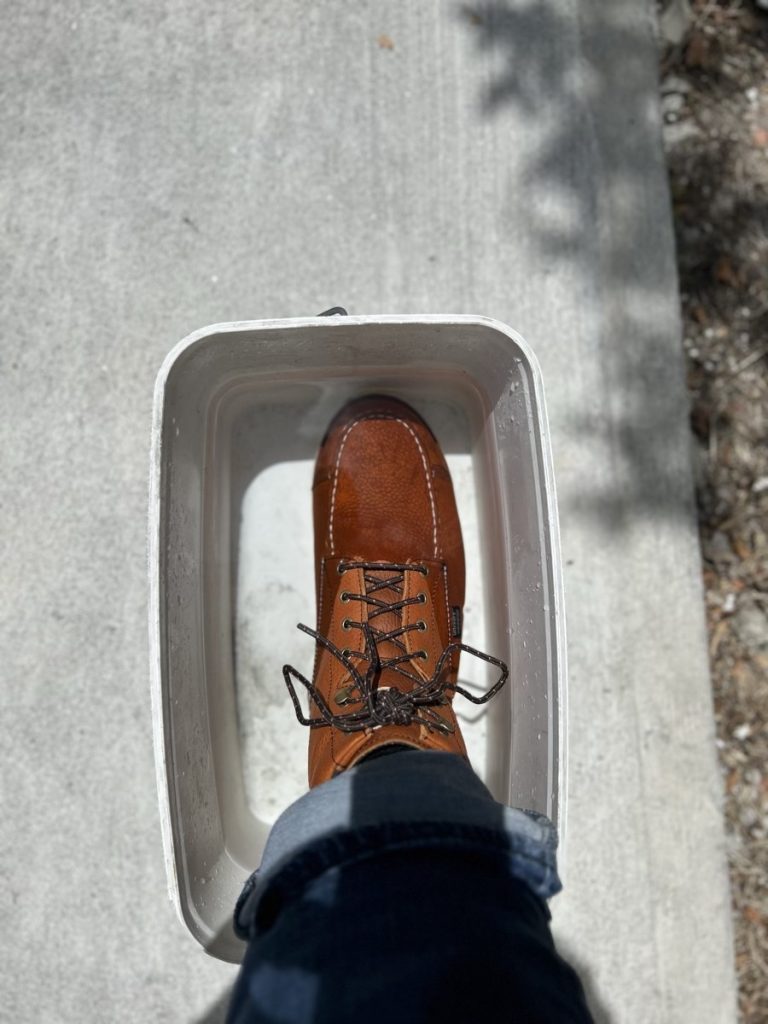 irish setter wingshooter waterproof test